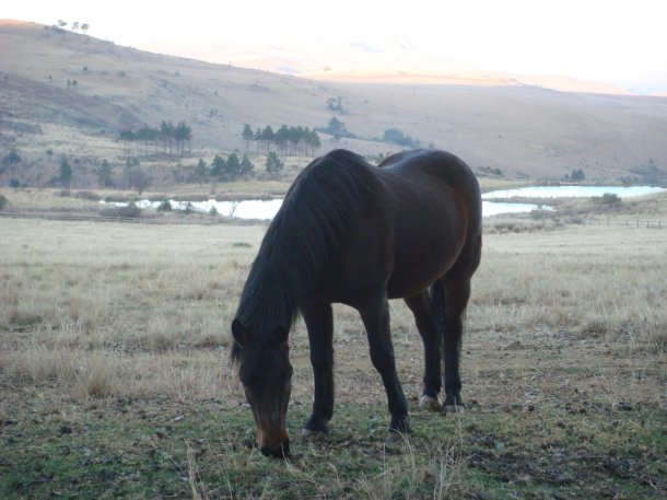 critchley-hackle-fishing-lodge