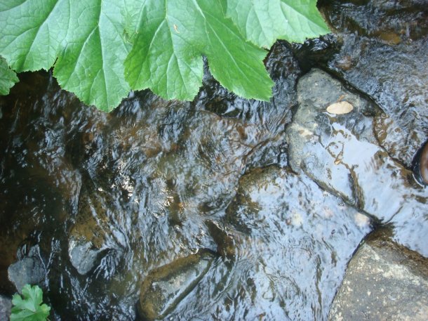 dry-creek-yuba-county-california