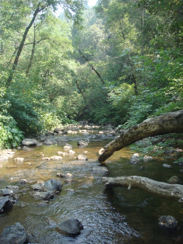 dry-creek-yuba-county-california