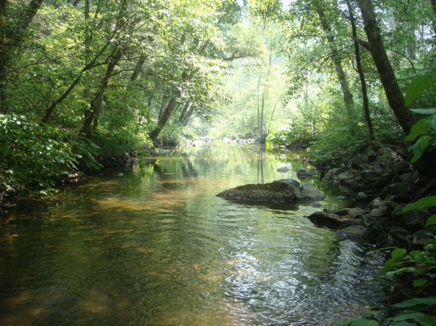 dry-creek-yuba-county-california 
