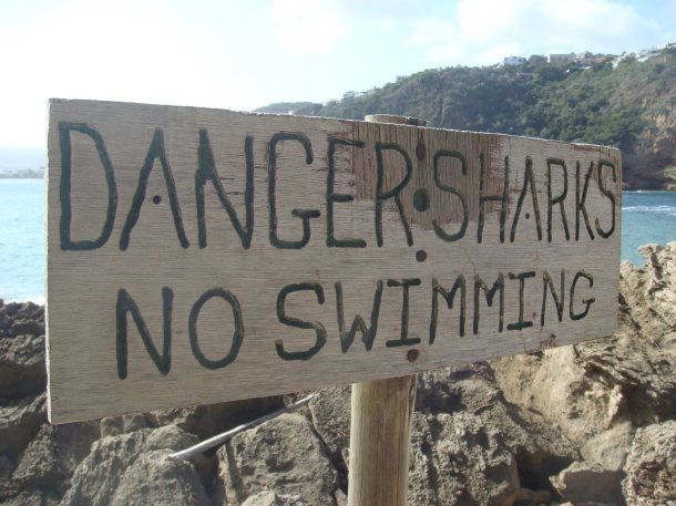 Featherbed-Nature-Reserve-knysna