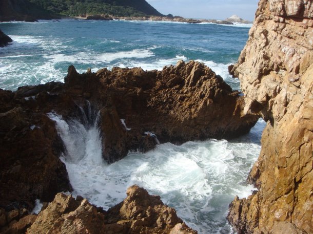 Featherbed-Nature-Reserve-knysna