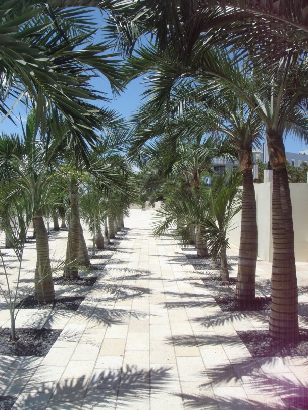 holocaust-memorial-miami 