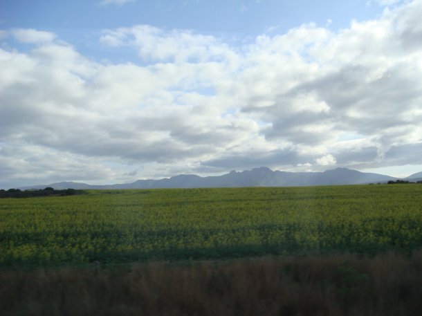 landscapes-of-south-africa (15)