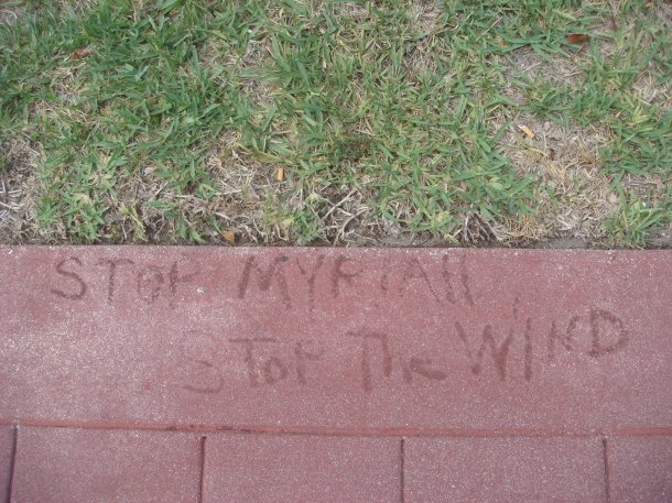 stop-myriah-stop-the-wind