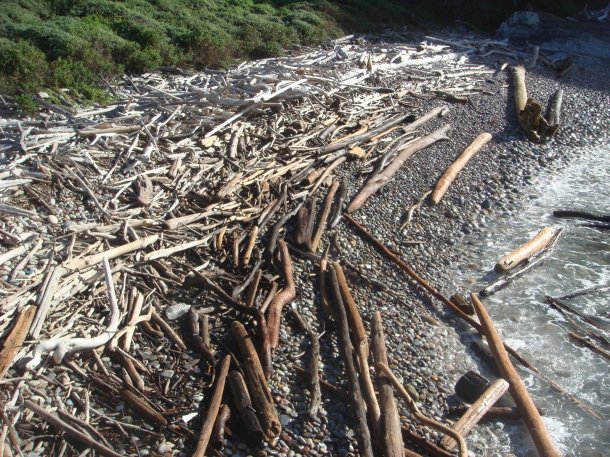 Tsitsikamma-National-Park