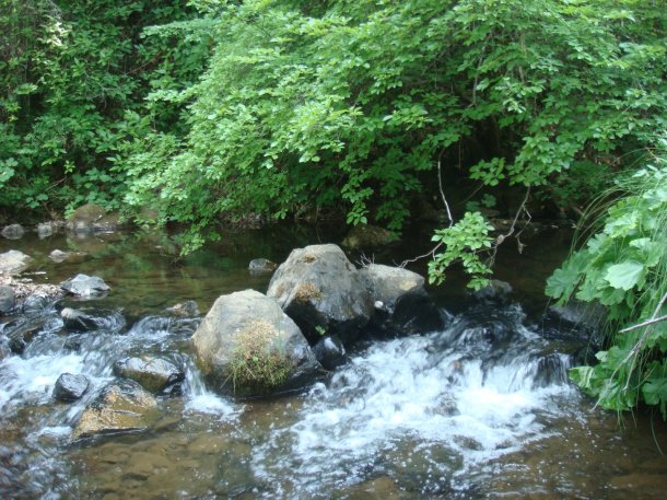 dry-creek-yuba-county-california