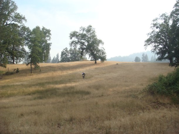 dry-creek-yuba-county-california