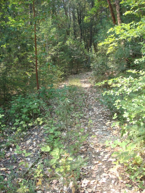 dry-creek-yuba-county-california