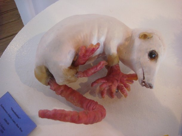 gladding-mcbean-feats-of-clay