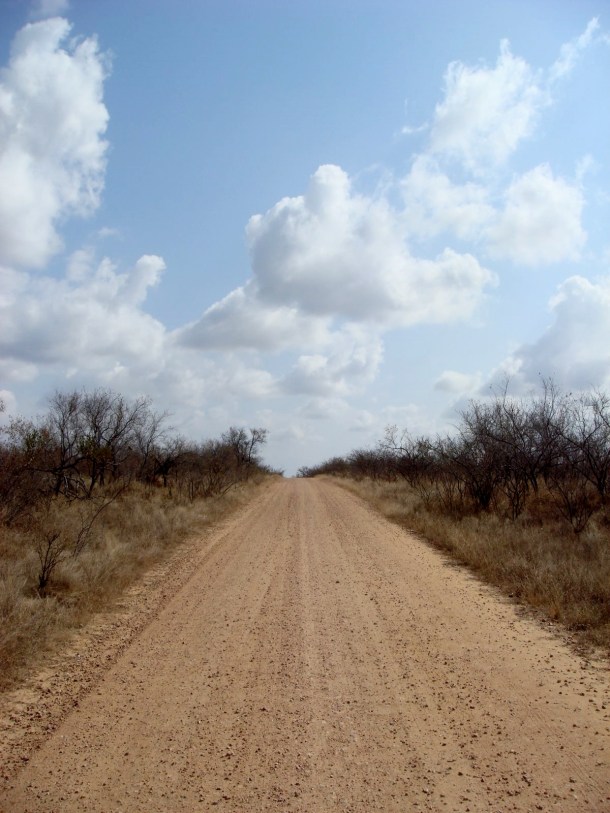 kruger-national-park (7)