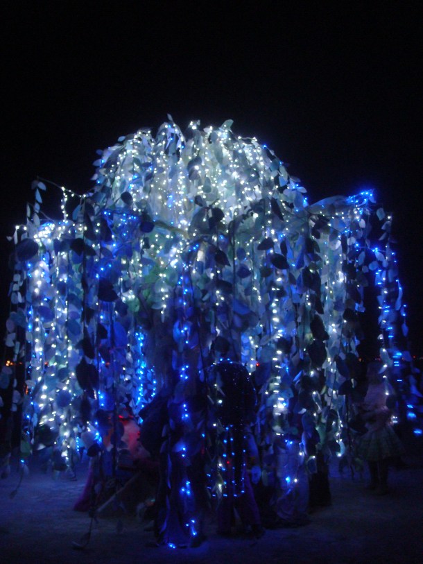 burning man in bloom