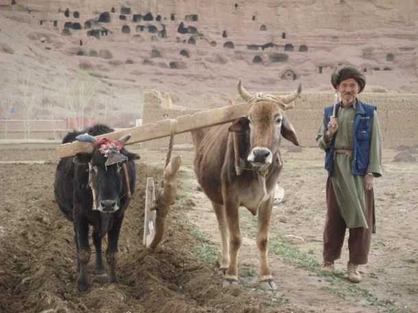 hazara-farmer-bamiyan