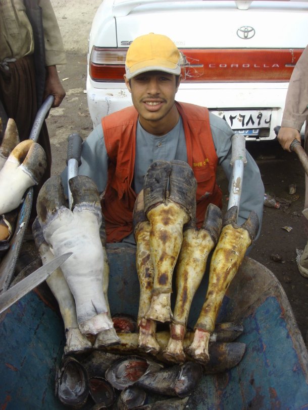 hooves-for-sale-kabul-afghanistan