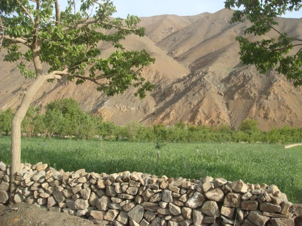 road-to-bamiyan