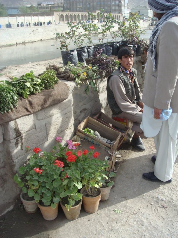 selling-plants-kabul-river