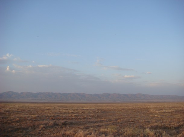 the carrizo plain
