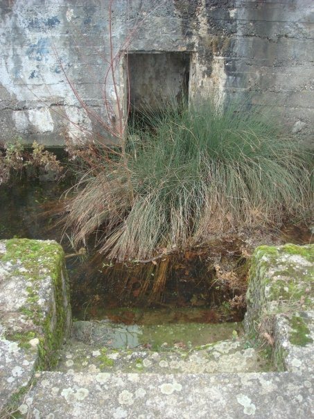 adolf hitler great war bunker