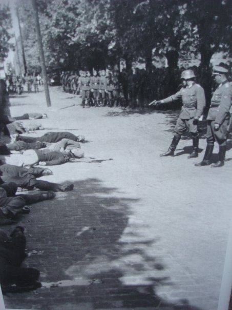 n563903375_972794_2319