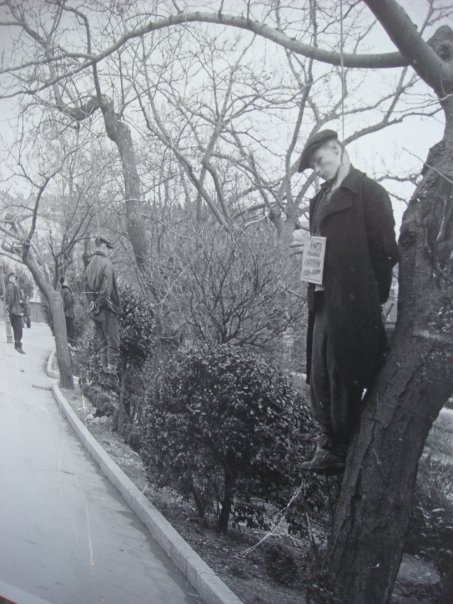 n563903375_972795_26331