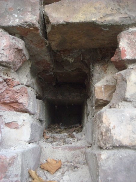 n563903375_972798_3690