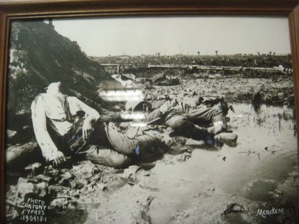 n563903375_990584_9209