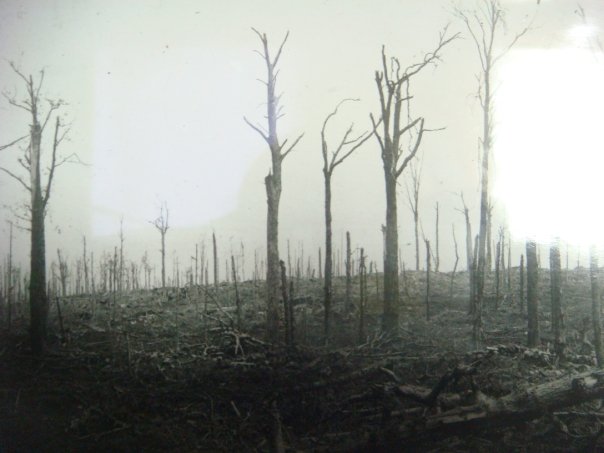 n563903375_990586_9812