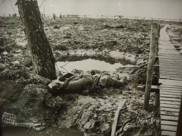 n563903375_990587_1042