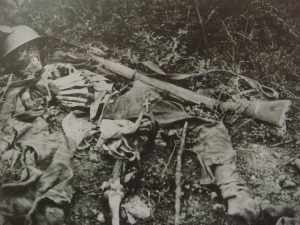 n563903375_990589_823