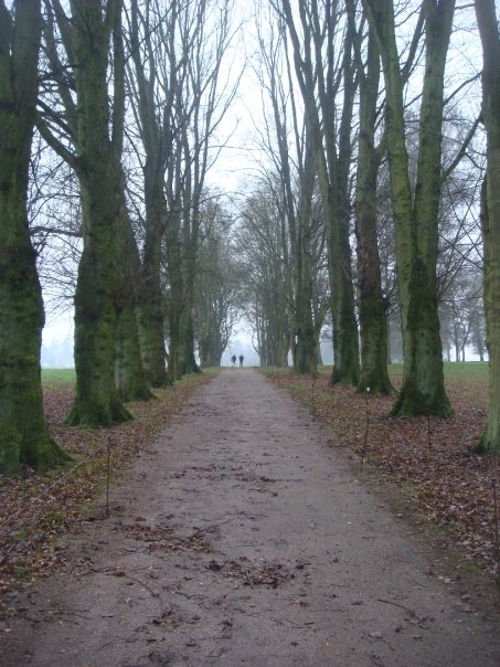 n563903375_990724_7107