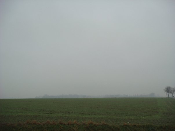 n563903375_990729_8877