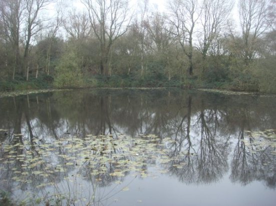 Spanbroekm-Pool-of-Peace