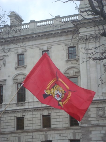 n563903375_1690545_32884