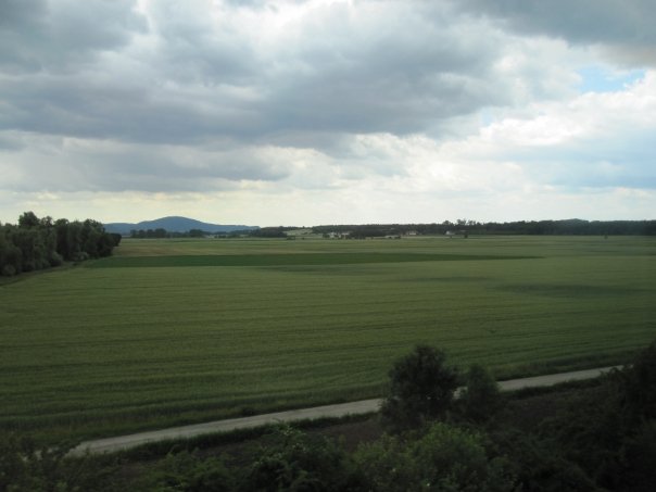 4817_91257198375_563903375_1828194_1779128_n