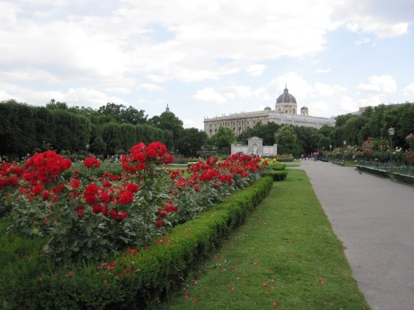 4817_91257268375_563903375_1828206_1312050_n