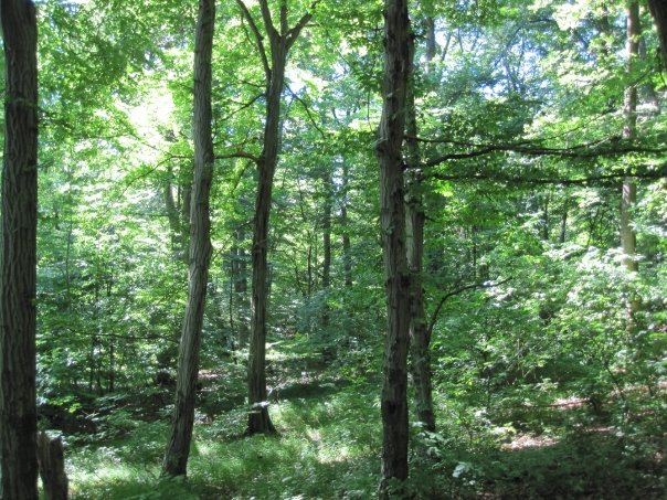 4817_91263463375_563903375_1828281_8085641_n