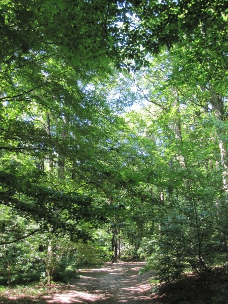 4817_91263468375_563903375_1828282_5775715_n