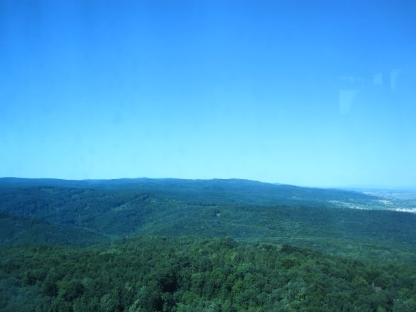 4817_91263473375_563903375_1828283_5755007_n