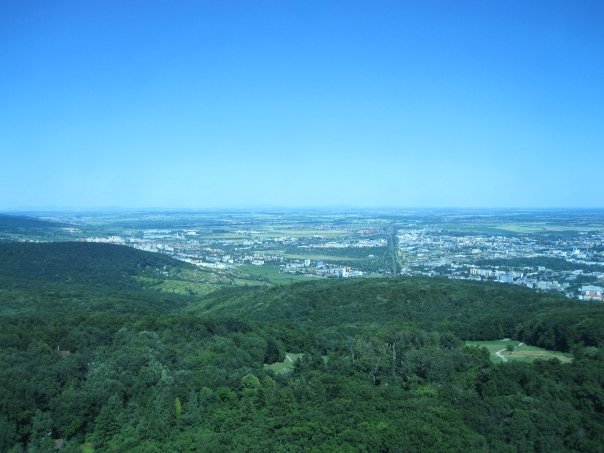 4817_91263478375_563903375_1828284_6519576_n