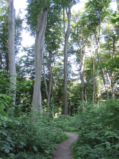 4817_91263548375_563903375_1828297_5679586_n