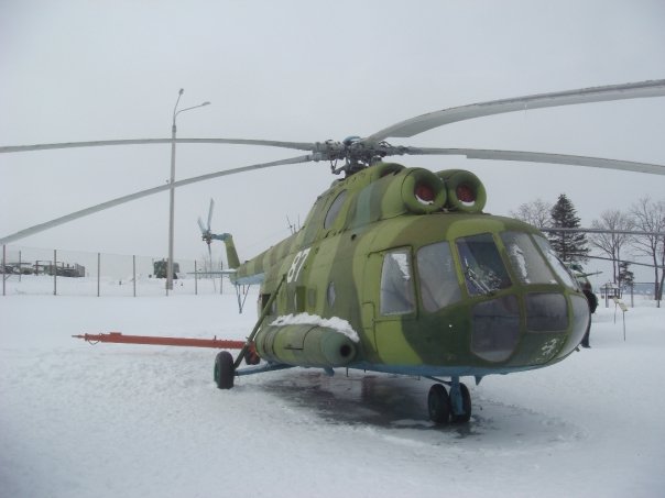 n563903375_1364875_3137254