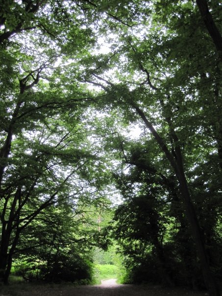 n563903375_1826653_6983091