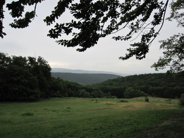 n563903375_1826658_5496571