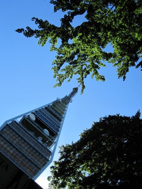 n563903375_1828293_4185737