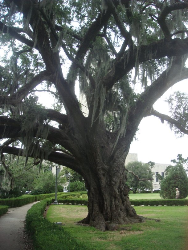 baton-rouge-louisiana