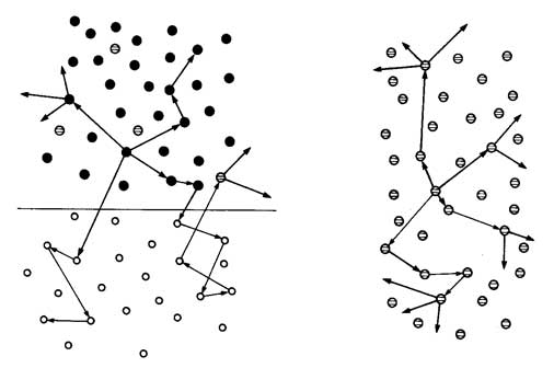 Nazi_Nuclear_Program