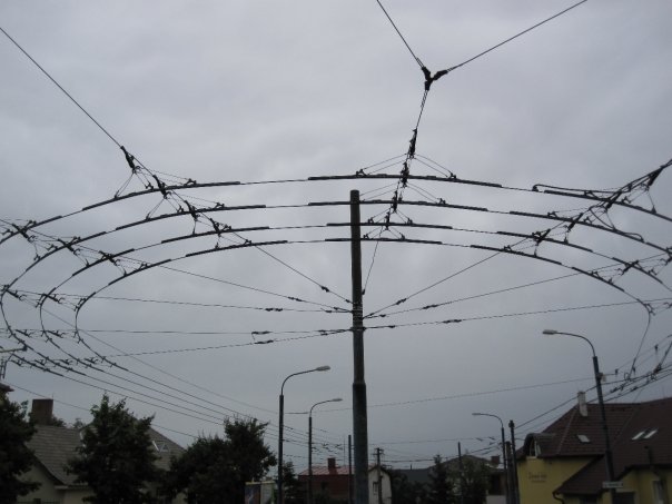 4817_91182443375_563903375_1826659_499377_n