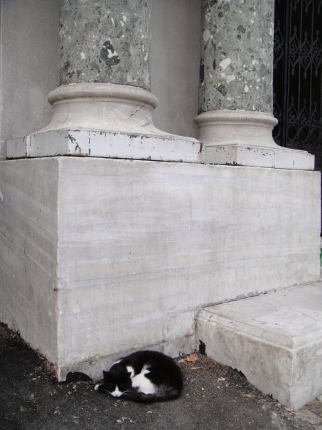 9935_141485248375_563903375_2483772_4081764_n