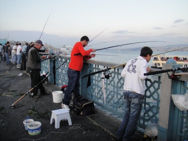 9935_141498528375_563903375_2483871_5957313_n