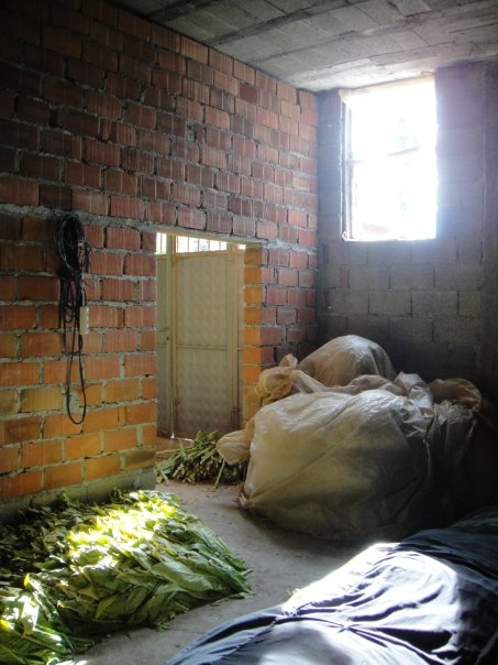 9935_141597683375_563903375_2485123_4196049_n